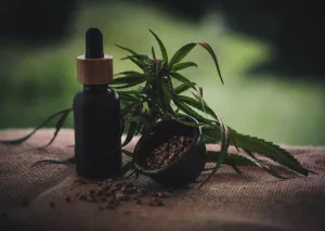 La conduite sous l'effet du CBD peut mettre en p&eacute;ril votre s&eacute;curit&eacute; sur la route. Alors que le CBD est consid&eacute;r&eacute; comme un compos&eacute; non psychoactif, il peut avoir des effets ind&eacute;sirables tels que la baisse de concentration et la [&hellip;]