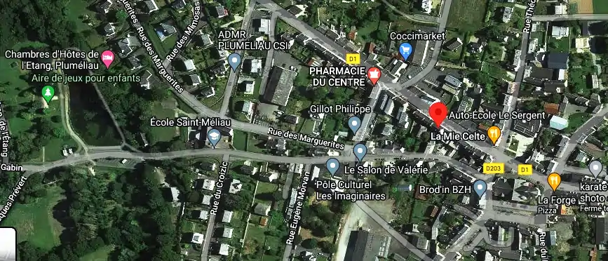 Permis auto Ecole à Pluméliau-Bieuzy