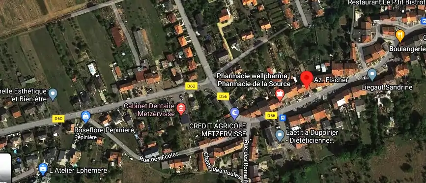 Permis auto Ecole à Metzervisse