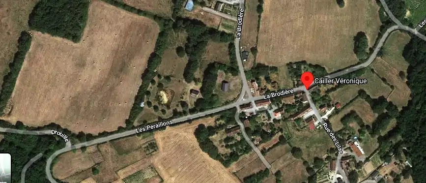 Permis auto Ecole à 