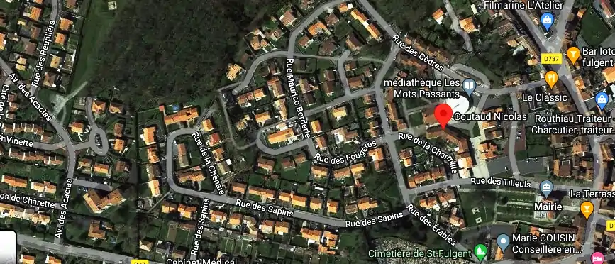 Permis auto Ecole à Saint-Fulgent