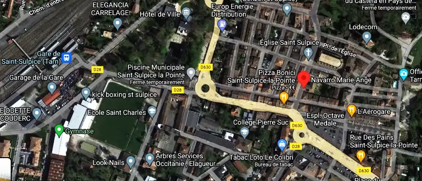 Permis auto Ecole à Saint-Sulpice-la-Pointe