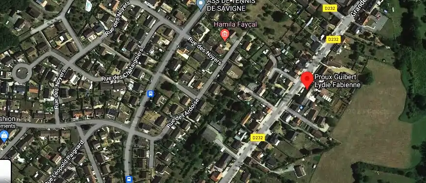 Permis auto Ecole à Savigné-l'Évêque