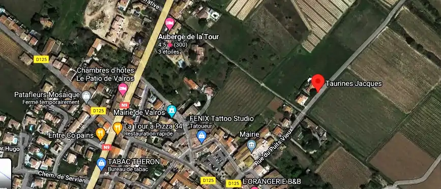 Permis auto Ecole à 34290 Valros