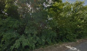 City’Zen CONDUITE ET SECURITE Beychac et Caillau à Beychac-et-Caillau