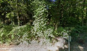 Gaignard Rénald à Villennes-sur-Seine