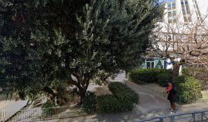 CODENGO 13008 à Marseille