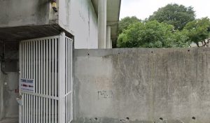 Vignes Isabelle à Nîmes