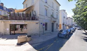 Zebra Montaigne à Périgueux