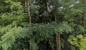 Ecole de conduite 3 Rivières Piste moto à Lurcy