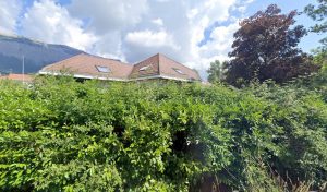 Snow Conduite à Montbonnot-Saint-Martin