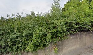 Allo Permis à Thionville