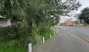 Alouette Auto Ecole à Tours